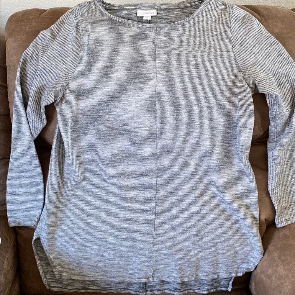 J. Jill Gray Tunic Top